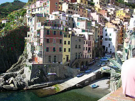 Fresh figs Cinque Terre Tuscany Italy