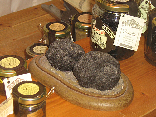 Black Truffle, Umbria,.Italy