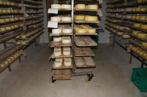 Cheese Maker Tuscany Cheese, Tuscany, Italy