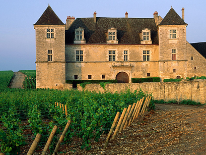 French Bread Burgundy France, Clos Vougeot
