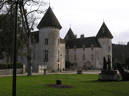Picnic Savigny Beaune, Burgundy, france