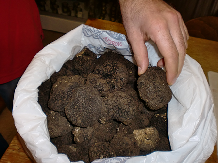 Black truffle- Food tour Italy
