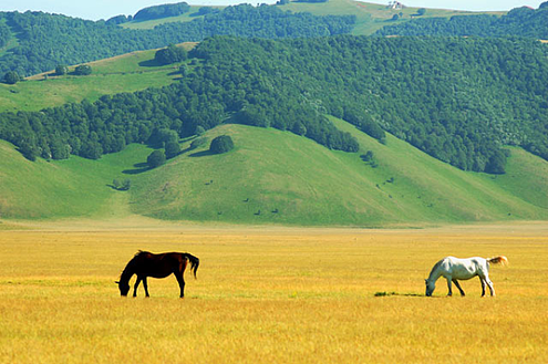 Discover the food specialities and wine of Umbria