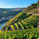 The History and Beauty of Portugal’s Douro Valley Wine Region