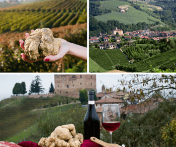 Piedmont wine tour