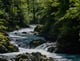 Vintgar Gorge Slovenia