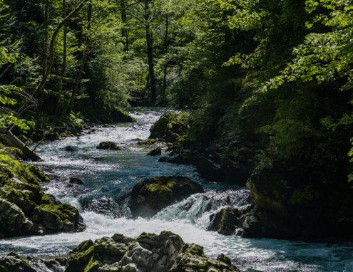 Vintgar Gorge Slovenia