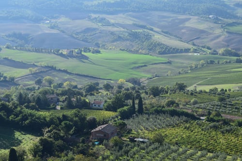 Val D'orcia Tuscany wine tour