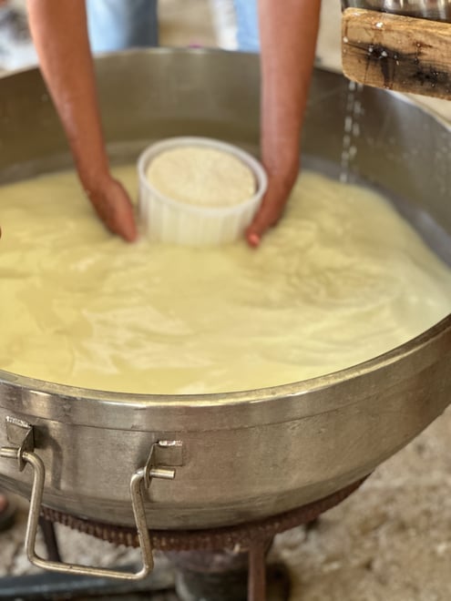 Cheeses of Greece