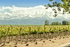 Chile Argentina wine tour