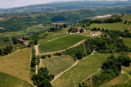 Tuscany view 