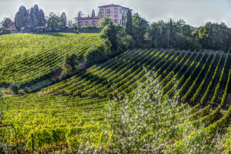 Tuscany wine tour guide
