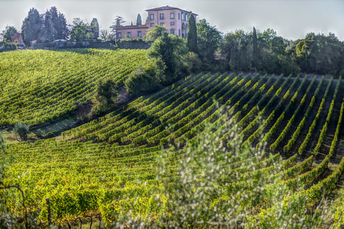 Tuscany wine tours Guide