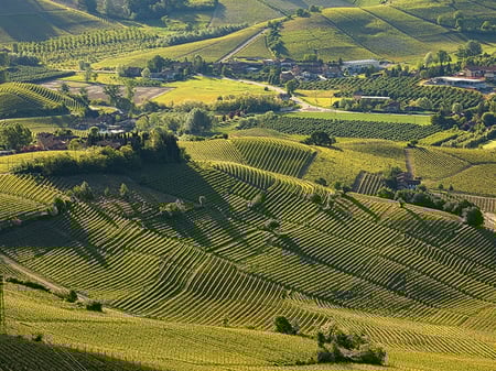 piedmont-wine-tour.jpg piedmont-wine-tour.jpg
