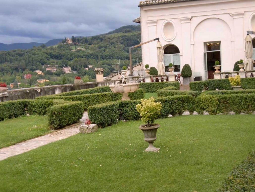 View from the garden
