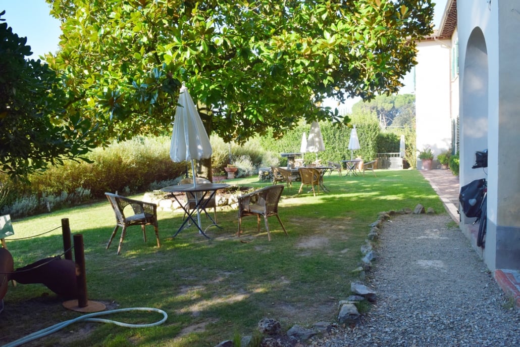 The Garden