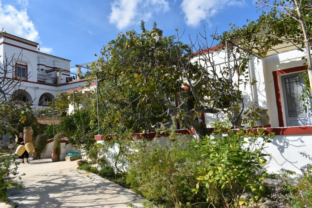 DSC 1037