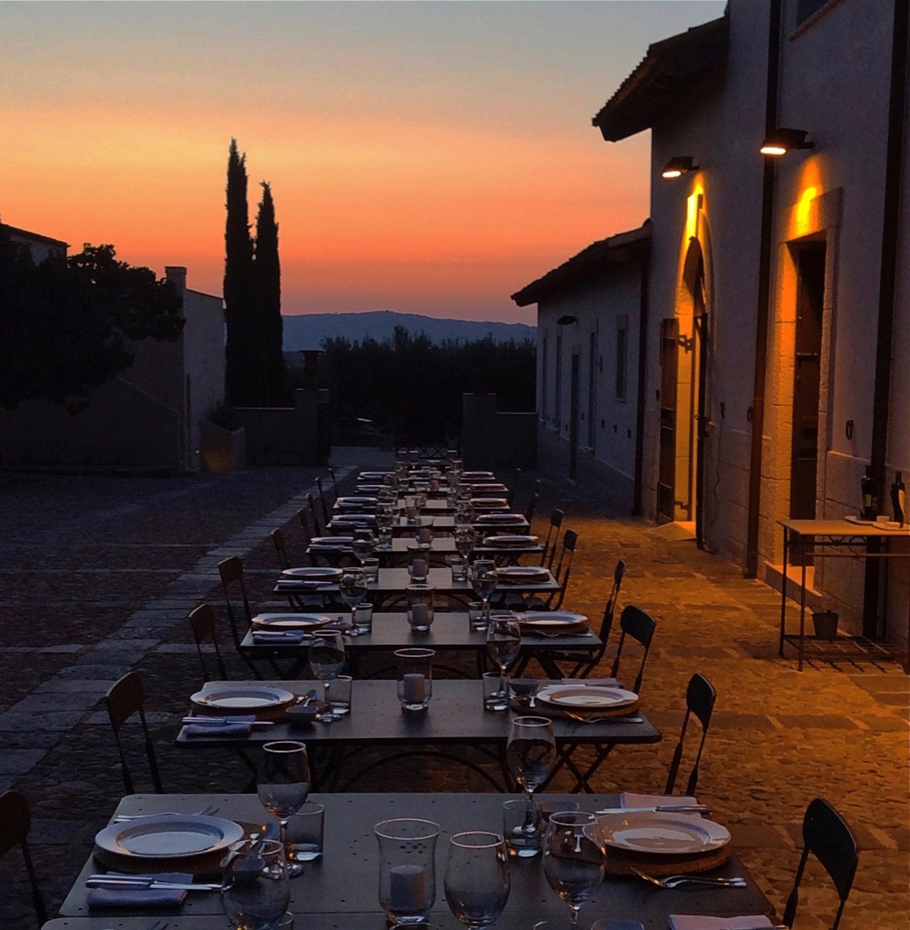 Olive oil Estate - Dinner alfresco