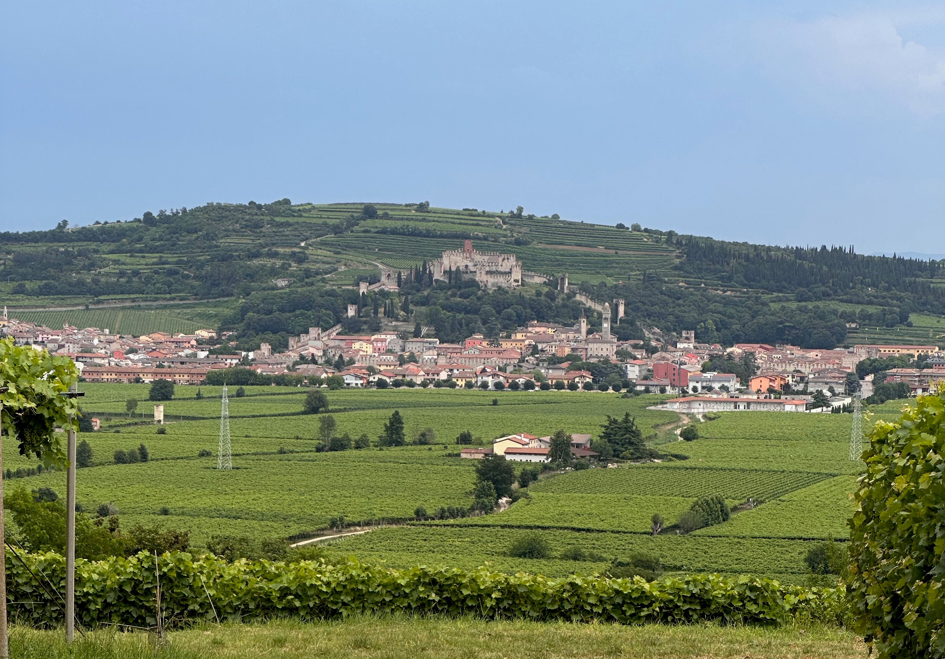 Veneto Food & Wine Tour